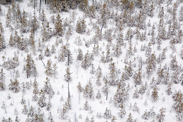 Similar image 21487615