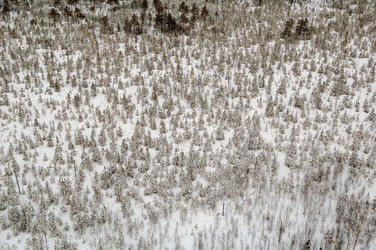 Similar image 21487619