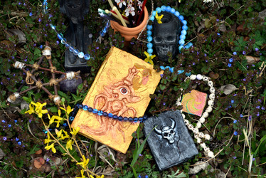 Similar image 21488750