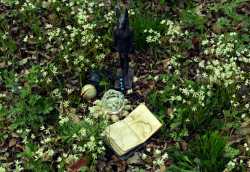 Similar image 21488752