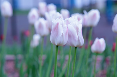 Similar image 21493895