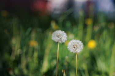 Similar image 21489472