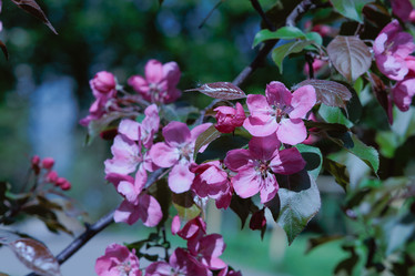 Similar image 21489473