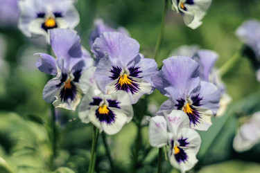 Similar image 21489474