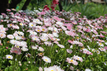 Similar image 21493896