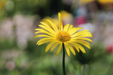 Similar image 21489476