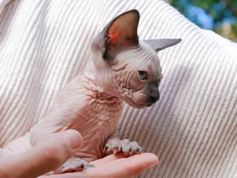 Similar image 21487736