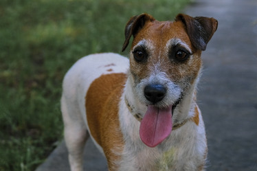 Similar image 21487738