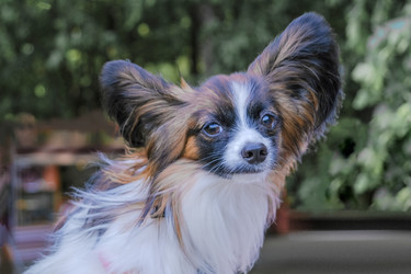 Similar image 21487740