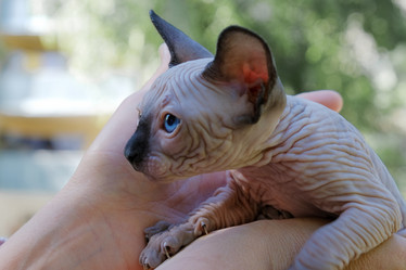 Similar image 21487744