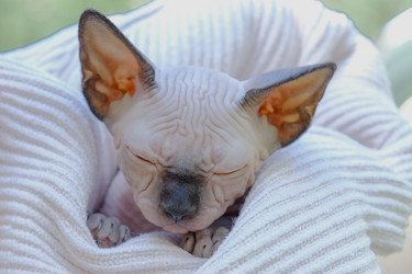 Similar image 21487044