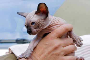 Similar image 21487745