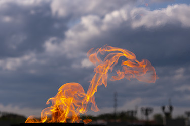 Similar image 21492654