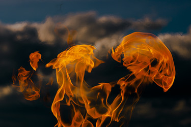 Similar image 21492655