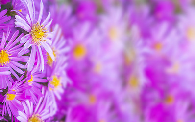 Similar image 21486484