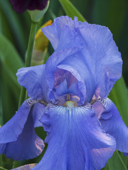 Similar image 21486486