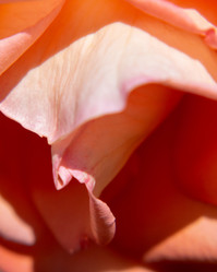 Similar image 21486546