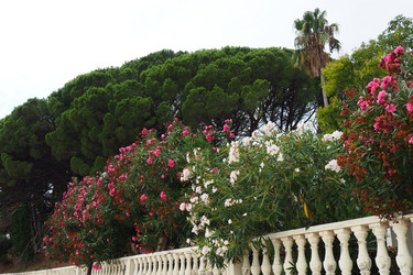 Similar image 21490582