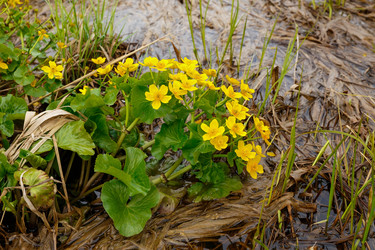 Similar image 21486488