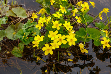 Similar image 21486489