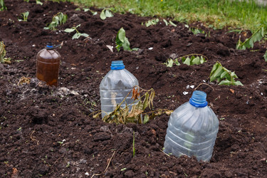 Similar image 21486491