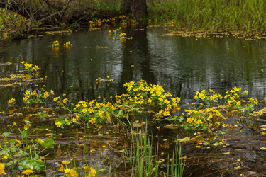 Similar image 21486492