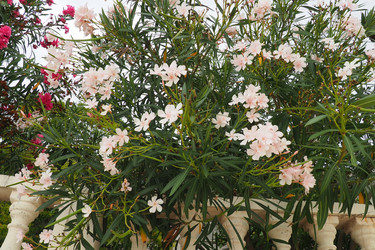 Similar image 21490600