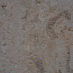 Similar image 21490602