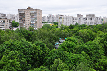 Similar image 21486619