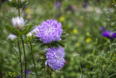 Similar image 21487047