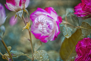 Similar image 21487049