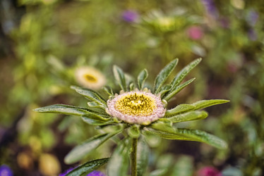 Similar image 21488157