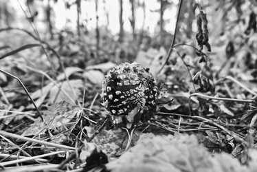 Similar image 21488158