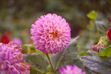 Similar image 21487050