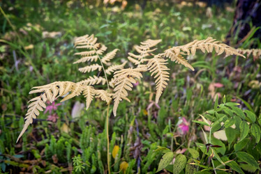 Similar image 21488159