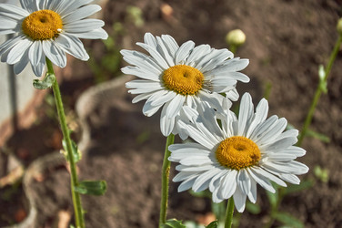 Similar image 21487053