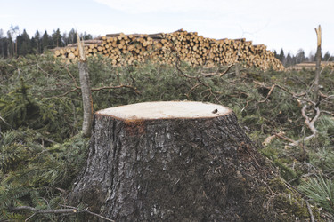 Similar image 21491272