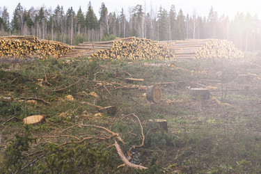 Similar image 21491273