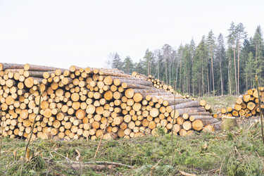 Similar image 21491279