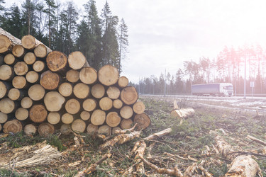 Similar image 21491282