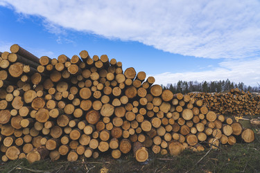 Similar image 21491300