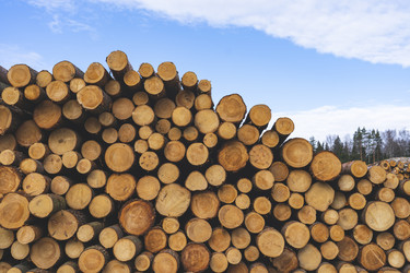 Similar image 21491302