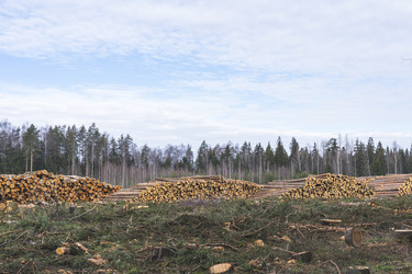 Similar image 21491308