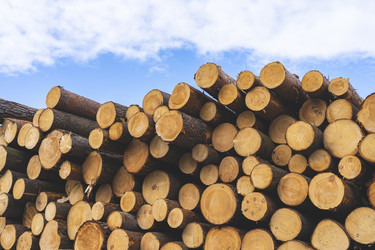 Similar image 21491311