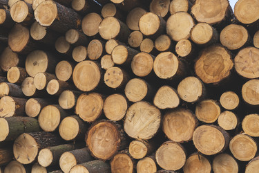 Similar image 21491313