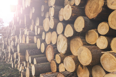 Similar image 21491317