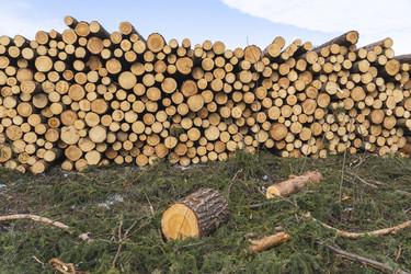 Similar image 21491327