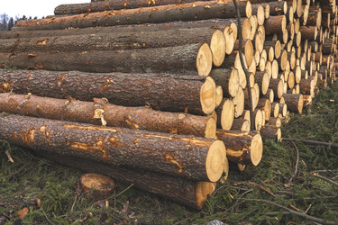 Similar image 21491329