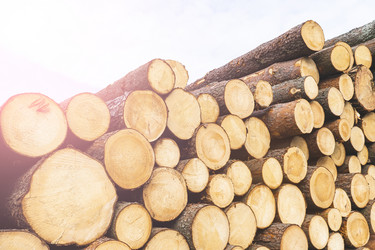 Similar image 21491334