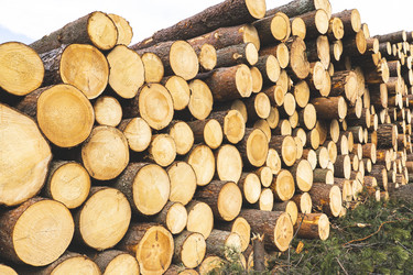 Similar image 21491335